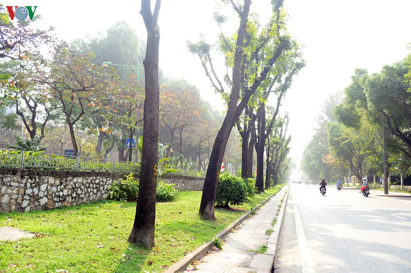 pho phuong vang lang, nguoi ha noi lo chong dich covid-19 hinh 11