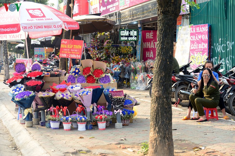 pho phuong vang lang, nguoi ha noi lo chong dich covid-19 hinh 15