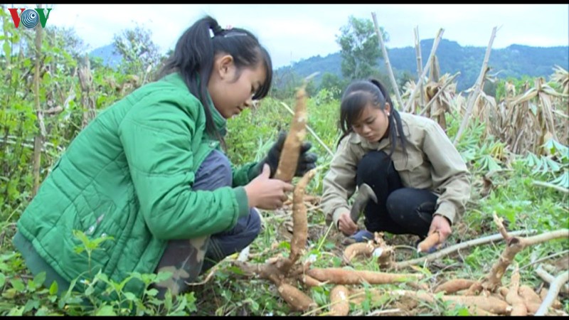 khó khăn trong việc dạy học trực tuyến ở vùng cao hình 1 kho khan trong viec day hoc truc tuyen o vung cao hinh 1