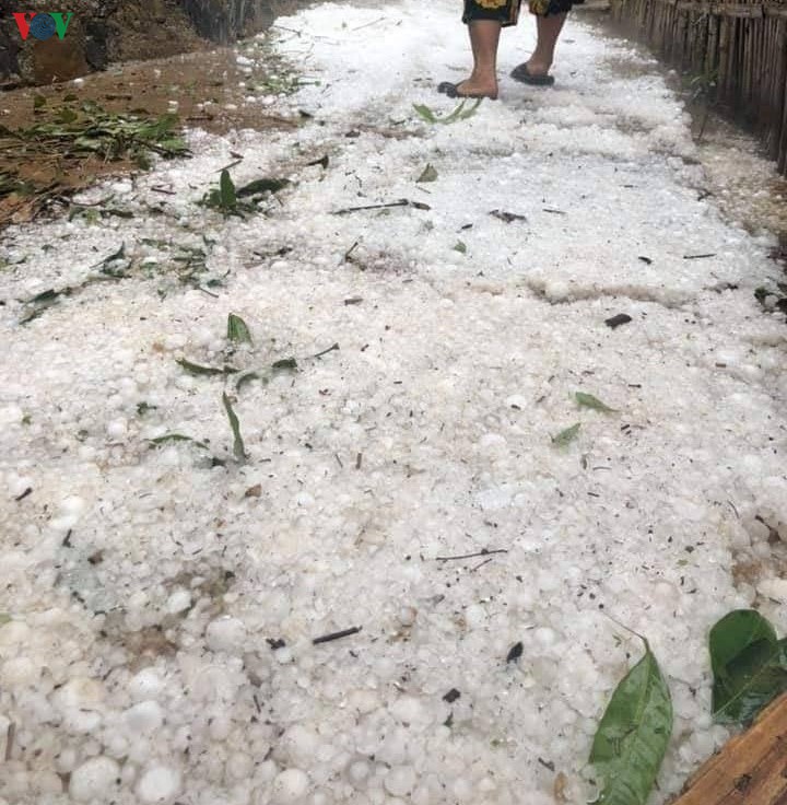 anh: mua da to nhu qua trung doi xuong xuyen thung nha dan o nghe an hinh 1