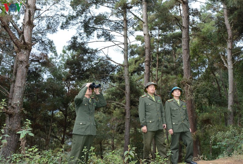 yen bai chu dong phong chong chay rung trong dot nang nong dien rong hinh 1