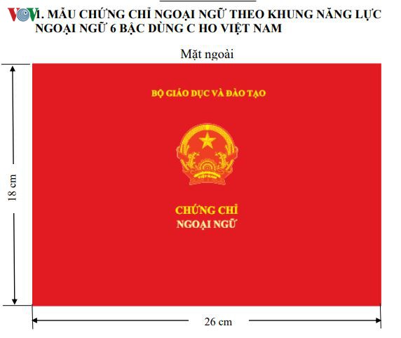 nhung co so nao duoc to chuc thi, cap chung chi ngoai ngu, tin hoc hinh 1