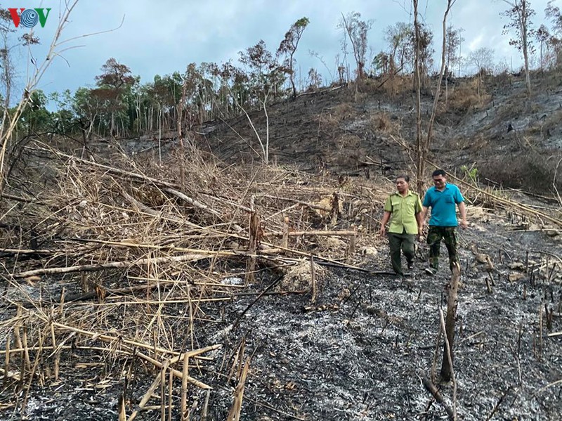 dak lak truy tim doi tuong pha hon 3,5 ha rung hinh 1