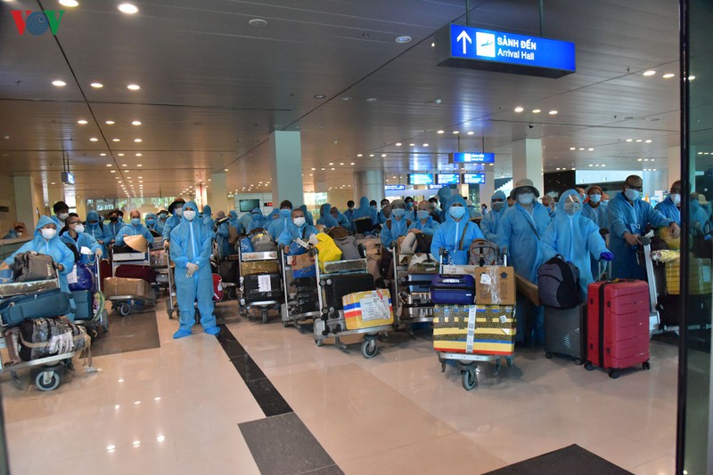 339 cong dan tu an do ve nuoc  cach ly tai tra vinh, tien giang, can tho hinh 1