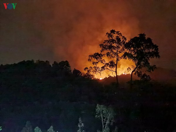 vu chay rung o da nang: tiep tuc lan rong, chua the khong che hinh 1