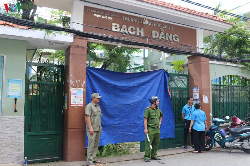 cay trong truong do de nhieu hoc sinh o tp hcm: mot em da tu vong hinh 1