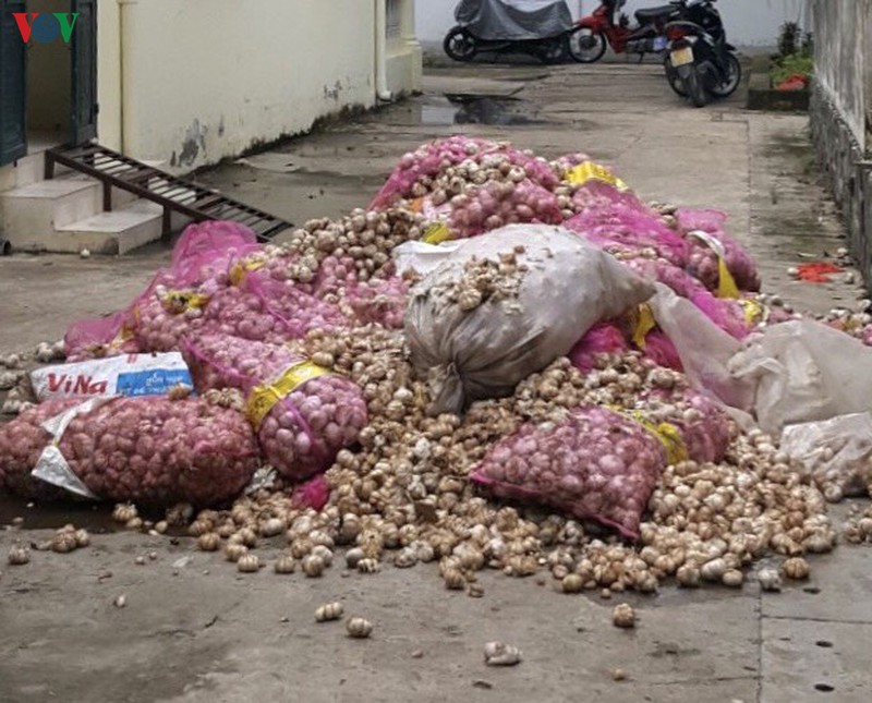 xe tai vut hang tan toi khong nguon goc xuat xu xuong song hinh 1