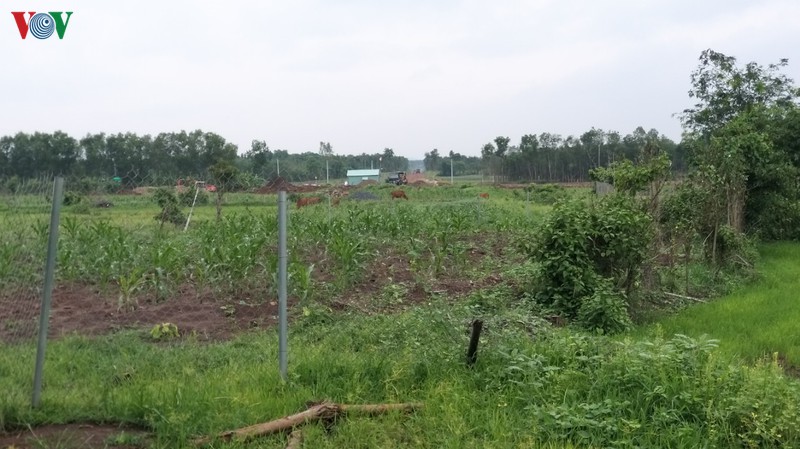 mot quyet dinh lam kho cho dan, ca tuyen duong giang do hinh 1