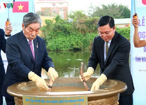 trong hoa sen oga (nhat ban) tai thi xa dien ban, quang nam hinh 2