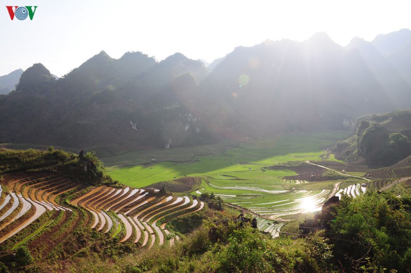 ky thu cao nguyen da tua chua, dien bien hinh 5