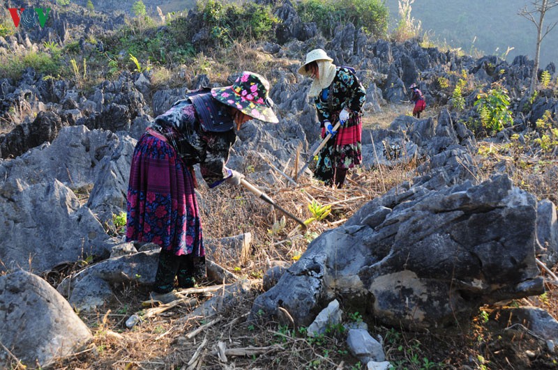 ky thu cao nguyen da tua chua, dien bien hinh 3
