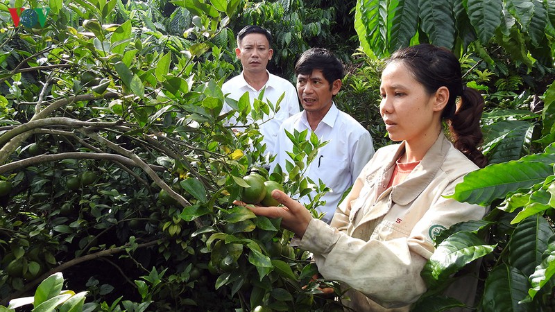 nam 2019 kon tum thu hut 57 du an dau tu hinh 1