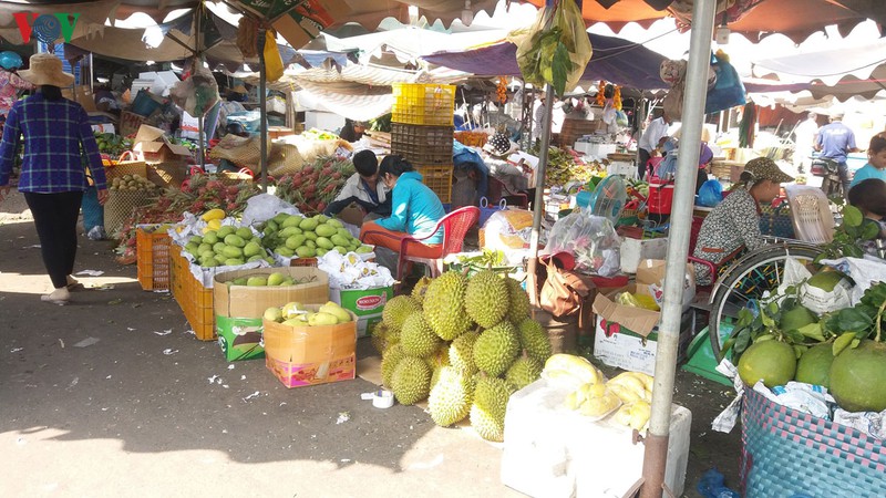 trai cay dac san duoc tap ket tai cho vinh kim phuc vu tet hinh 3
