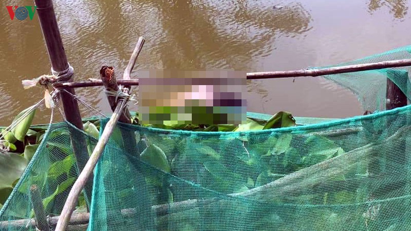 bac lieu phat hien 1 thi the nam gioi tren song hinh 1