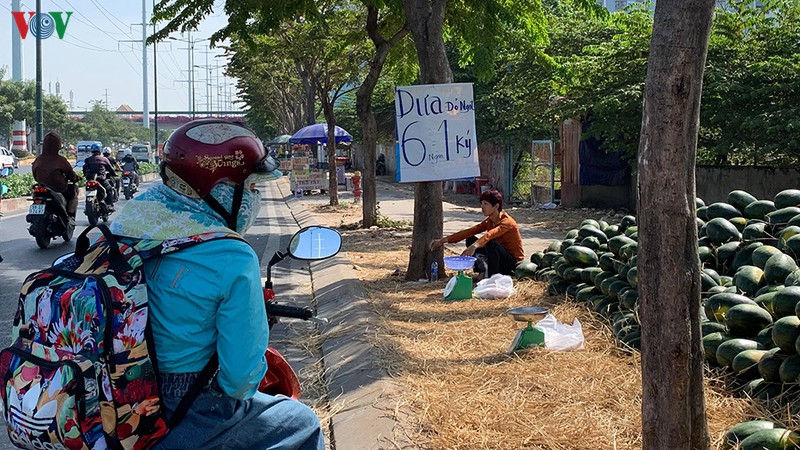 nguoi dan tp hcm xep hang "giai cuu" dua hau hinh 9