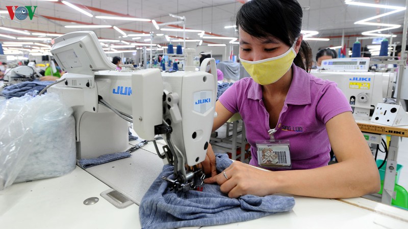 gan 100% kim ngach xuat khau cua viet nam sang eu se duoc xoa bo thue nhap khau hinh 1