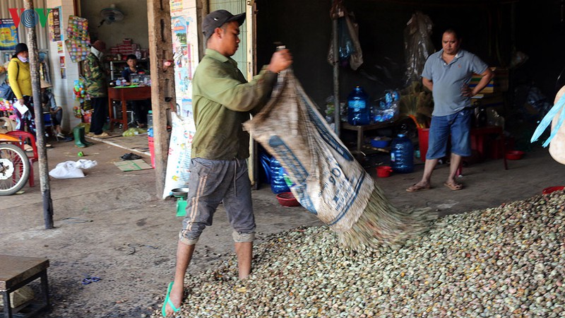 bo tri tan cong dieu, nong dan binh phuoc lo mat mua hinh 1
