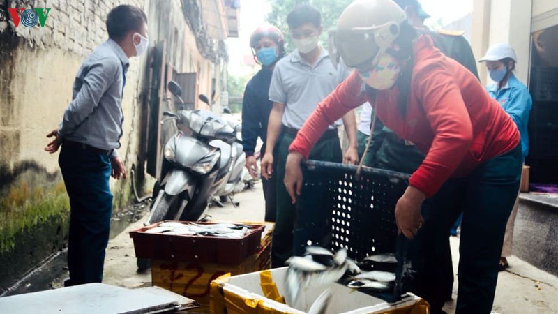 nguoi dan hoang mai (nghe an) het long vi cong tac chong dich hinh 1
