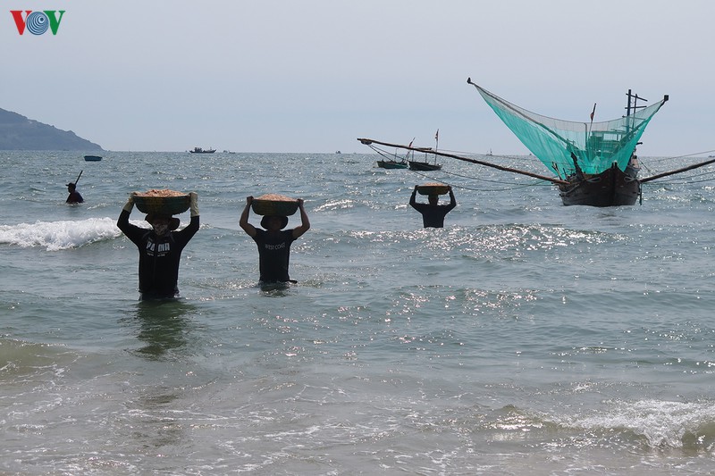 ngu dan vat va muu sinh nhung ngay chong dich hinh 10