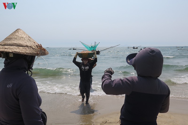 ngu dan vat va muu sinh nhung ngay chong dich hinh 11