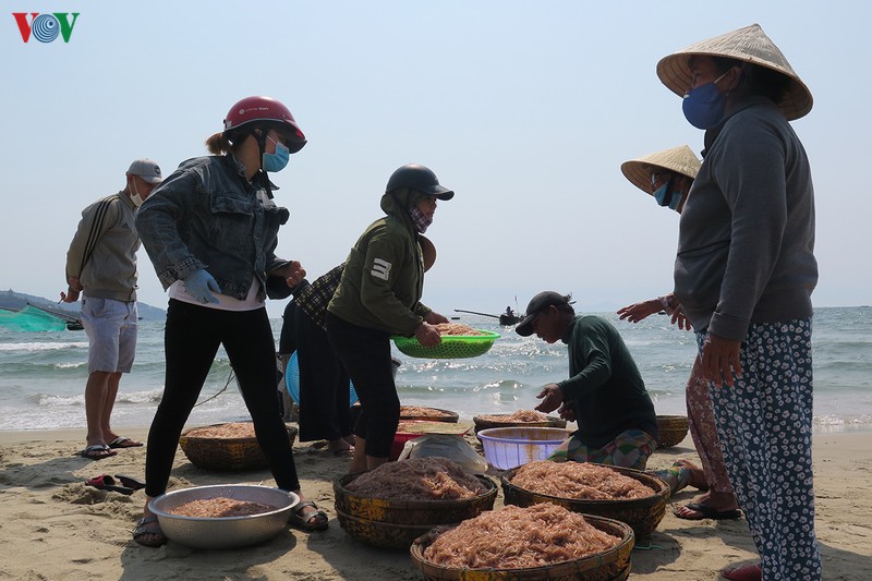 ngu dan vat va muu sinh nhung ngay chong dich hinh 14