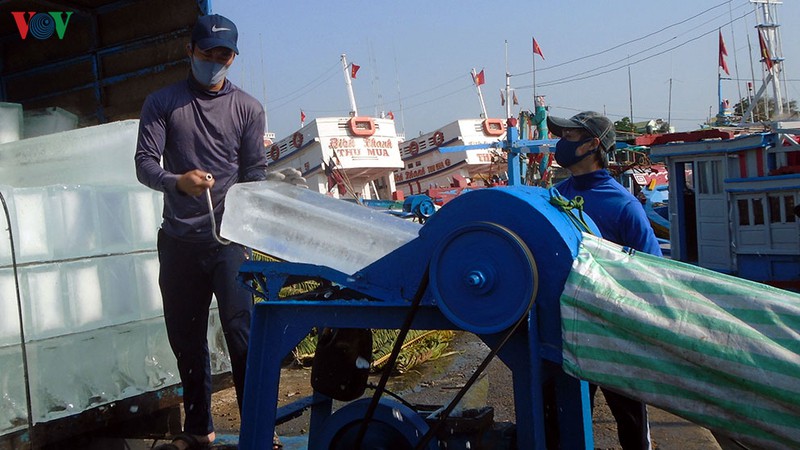 ngu dan binh thuan tan dung gia dau giam tap nap ra khoi hinh 1