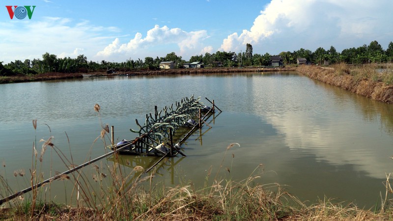 doanh nghiep vung dbscl mong som phuc hoi san xuat kinh doanh hinh 1
