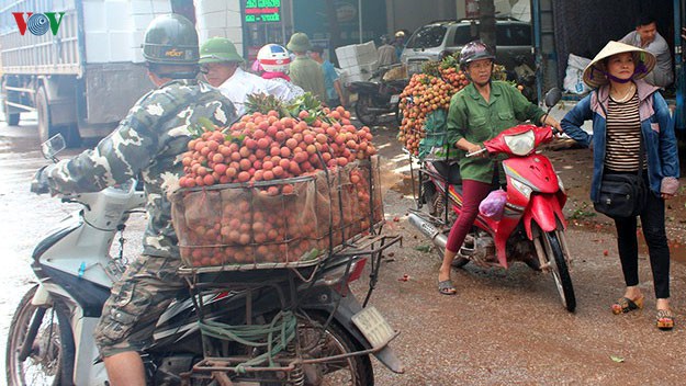 trung quoc se ket thuc vu vai vao dau thang 7 hinh 1