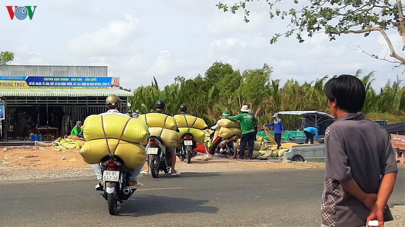 nghe "hot" o ca mau: tai lua thue kiem tien trieu moi ngay hinh 8