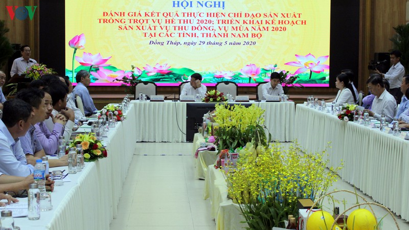 san xuat lua vung dbscl dan thich ung voi thoi tiet cuc doan hinh 1