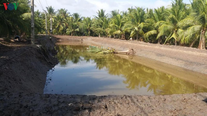 nhieu ho dan ben tre tu y nuoi tom ngoai vung quy hoach hinh 1