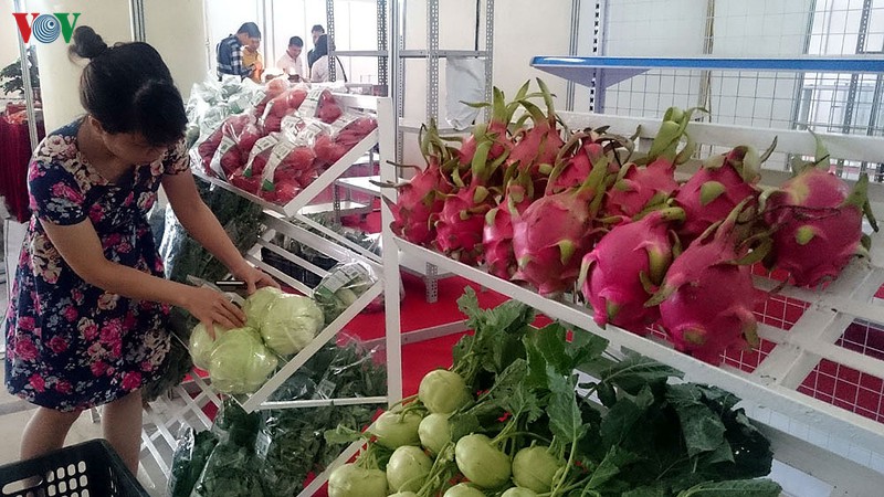 evfta co tao ra cuoc canh tranh lanh manh tai thi truong noi dia? hinh 1