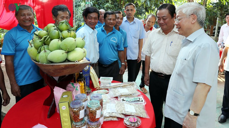 20 htx nong nghiep duoc thanh lap tren nen tang hop tac vung chac cua hoi quan hinh 1