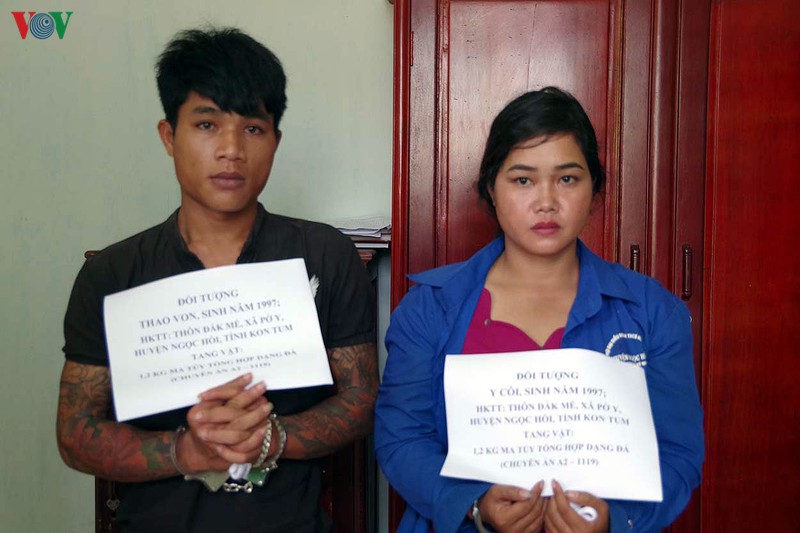 nhieu doi tuong manh dong chuyen ma tuy tu nuoc ngoai ve viet nam hinh 2