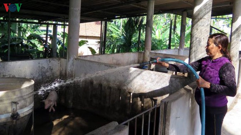 tinh quang ngai khuyen cao tai dan lon theo huong an toan sinh hoc hinh 2