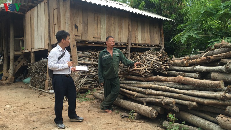 thu nhap qua thap khien nhieu nong dan son la chat bo cay cao su hinh 3