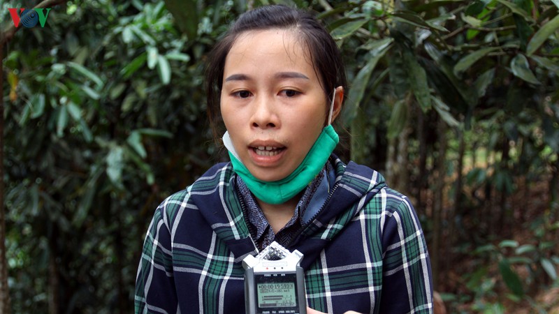 cong ty dat thanh o yen bai co dau hieu quyt no hinh 1