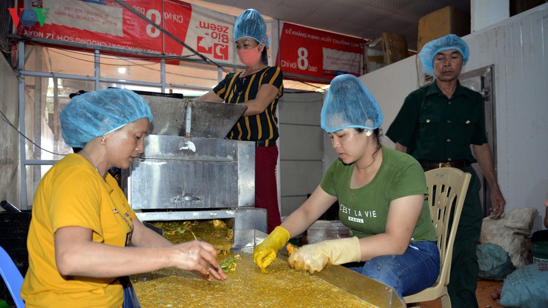 hop tac xa thuong binh 27/7: nghi luc va quyet tam cua nguoi linh hinh 1
