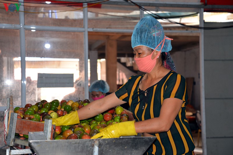 hop tac xa thuong binh 27/7: nghi luc va quyet tam cua nguoi linh hinh 2