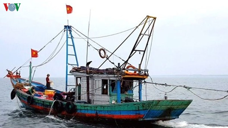 kho xu ly tau gia cao khai thac trai phep o bien ha tinh hinh 1