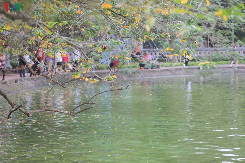 anh: pho phuong ha noi yen binh, thanh thoi trong ngay 30 tet hinh 1
