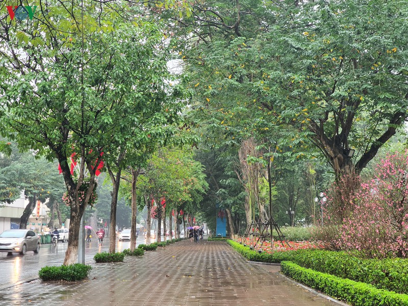 mua lon chieu cuoi nam, pho xa thu do tinh lang  hinh 14