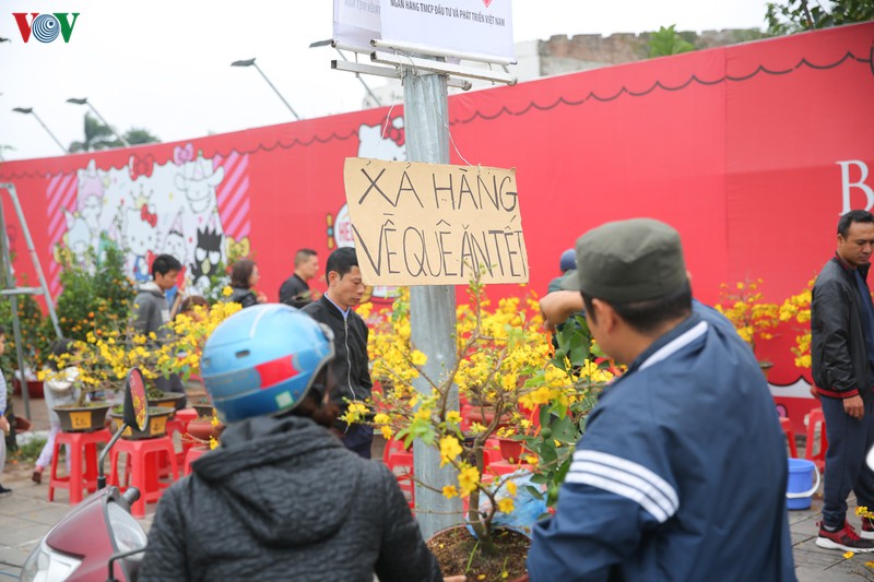 anh: pho phuong ha noi yen binh, thanh thoi trong ngay 30 tet hinh 8