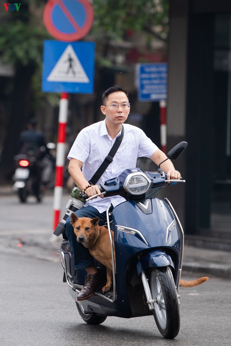 nhung hinh anh xau xi trong sang mung 1 tet hinh 9