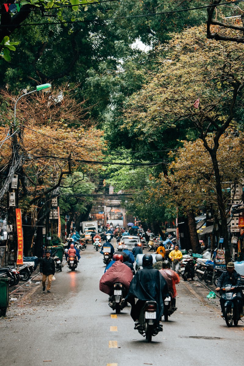 pho phuong ha noi vang ve sau khuyen cao "han che ra duong" hinh 15