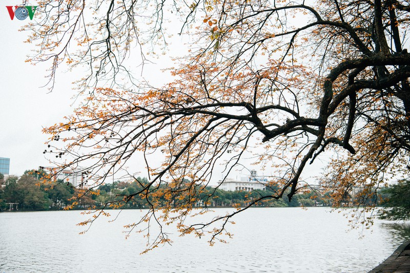 pho phuong ha noi vang ve sau khuyen cao "han che ra duong" hinh 5