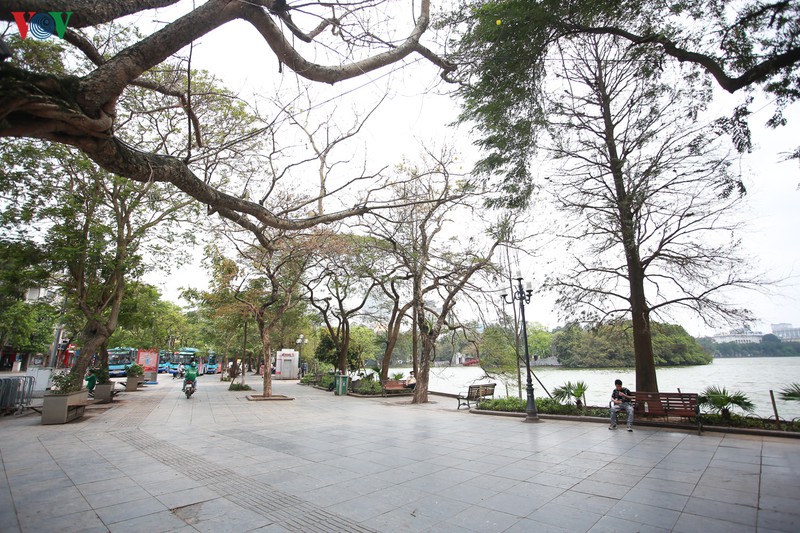 duong pho ha noi vang ve sau lenh dong cua hang quan den ngay 5/4 hinh 12
