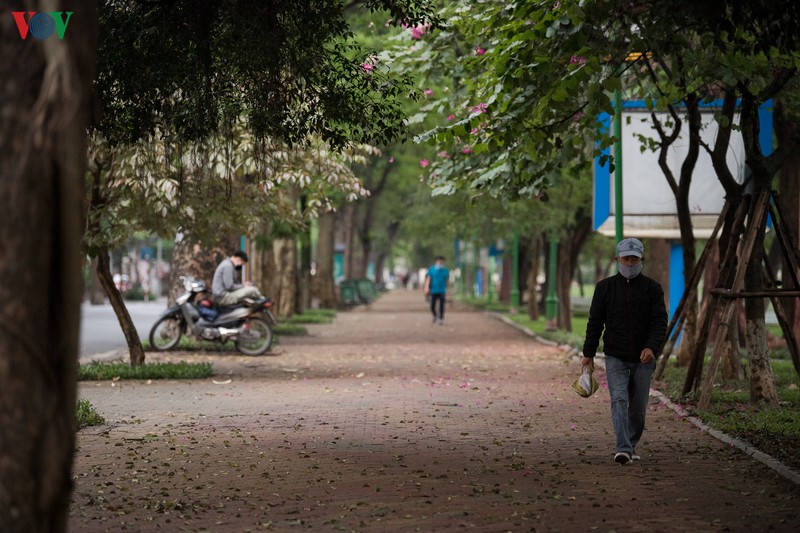 ha noi ngay 4/4, ho hoan kiem khong con nguoi tap the duc buoi sang hinh 16
