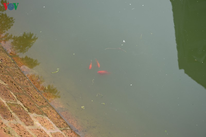 gieng co "co mot khong hai" tai lang yen lo, ha noi hinh 11