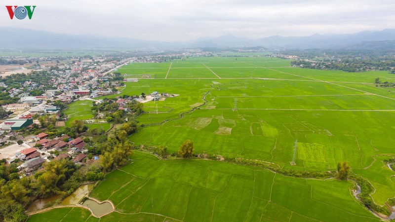 khep lai noi dau qua khu, noong nhai vuon minh phat trien hinh 2